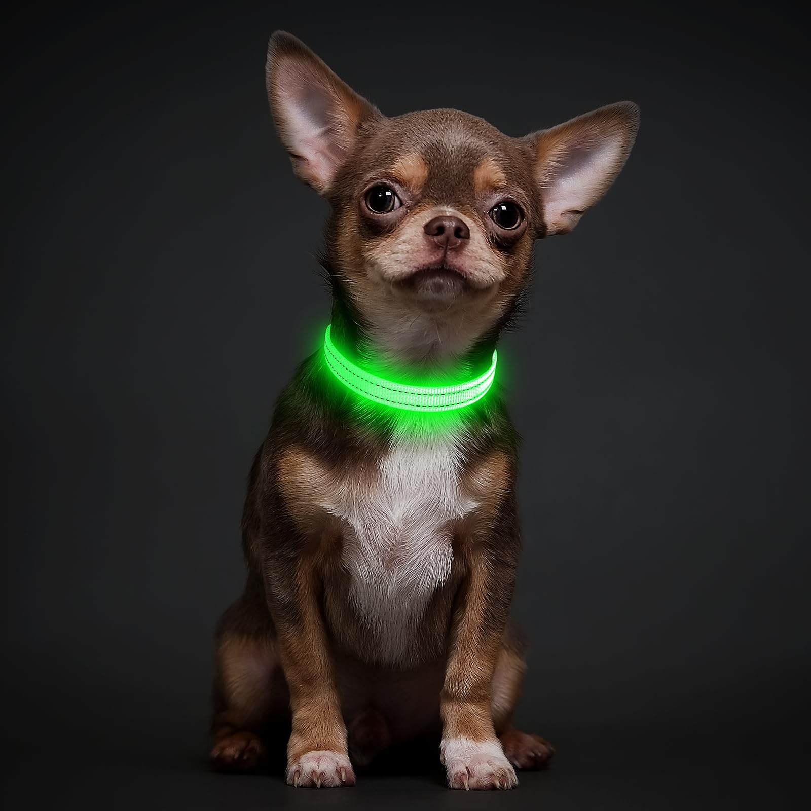 Illumifun night walks feel safer with bright visibility from the glowing collar.