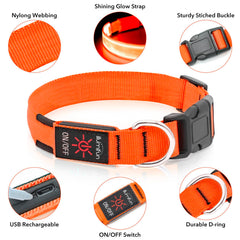 Illumifun three flash modes provide versatile visibility on walks.