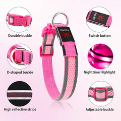 Illumifun three-flash-modes dog collar offering versatile visibility during dusk walks.