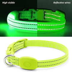 Illumifun USB rechargeable collar shows long-lasting light without frequent battery changes.