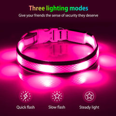 Illumifun USB-rechargeable dog collar with micro-USB cable for easy charging.