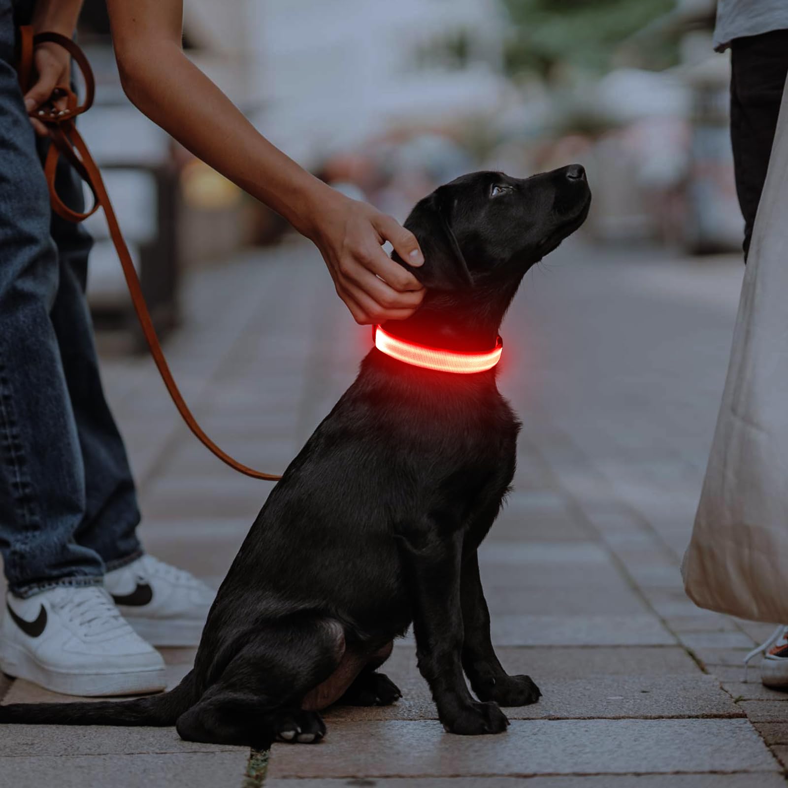 Illumifun water-resistant collar enduring rain and mud