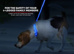 Illumiseen LED dog collar blue glow closeup highlights bright night visibility.