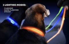 Illumiseen LED dog collar USB charging port demonstrates easy recharge.