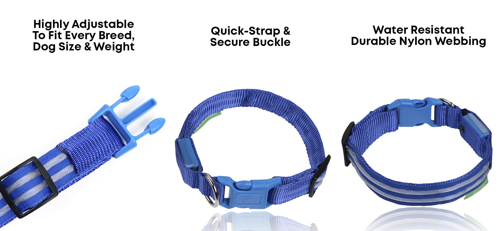 Illumiseen LED dog collar weatherproof durability for outdoor use.