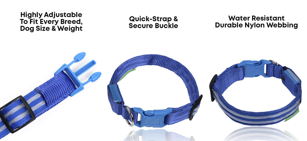 Illumiseen LED dog collar weatherproof durability for outdoor use.