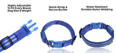 Illumiseen LED dog collar weatherproof durability for outdoor use.