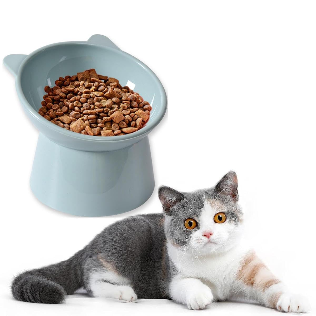 QPOIBSD Tilted Raised Posture for Cat Food Bowl Neck for Protection Anti Vomiting 45 Degree Elevated Slanted Stand Bowls for Cat Tilted Bowl Diameter Approx.13.7cm/5.39in (Baby Blue)