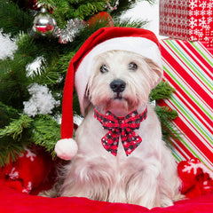 ADOGGYGO 2 Pack Christmas Dog Collar with Bow Tie, Classic Plaid Red Green Dog Collars with Removable Bowtie Christmas Collars for Extra Small Dogs Pets (X-Small)