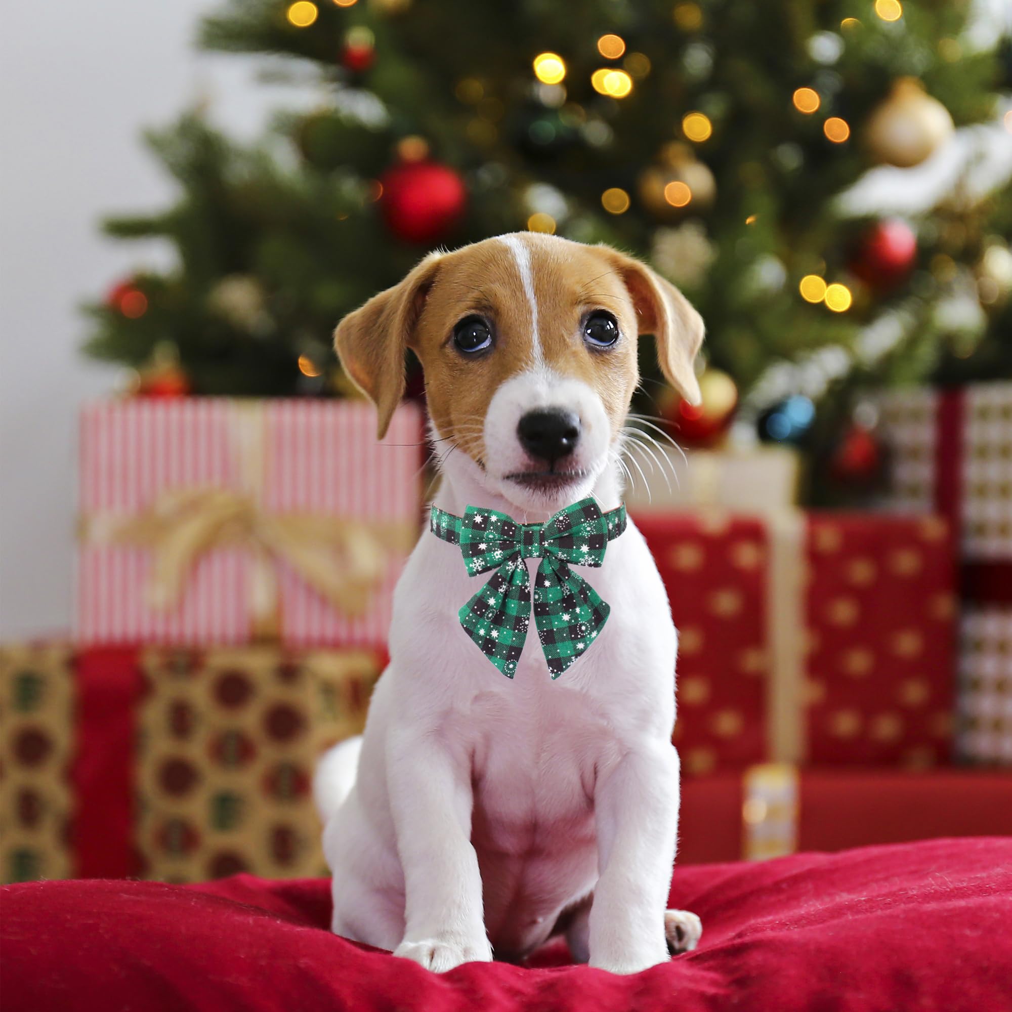 ADOGGYGO 2 Pack Christmas Dog Collar with Bow Tie, Classic Plaid Red Green Dog Collars with Removable Bowtie Christmas Collars for Extra Small Dogs Pets (X-Small)
