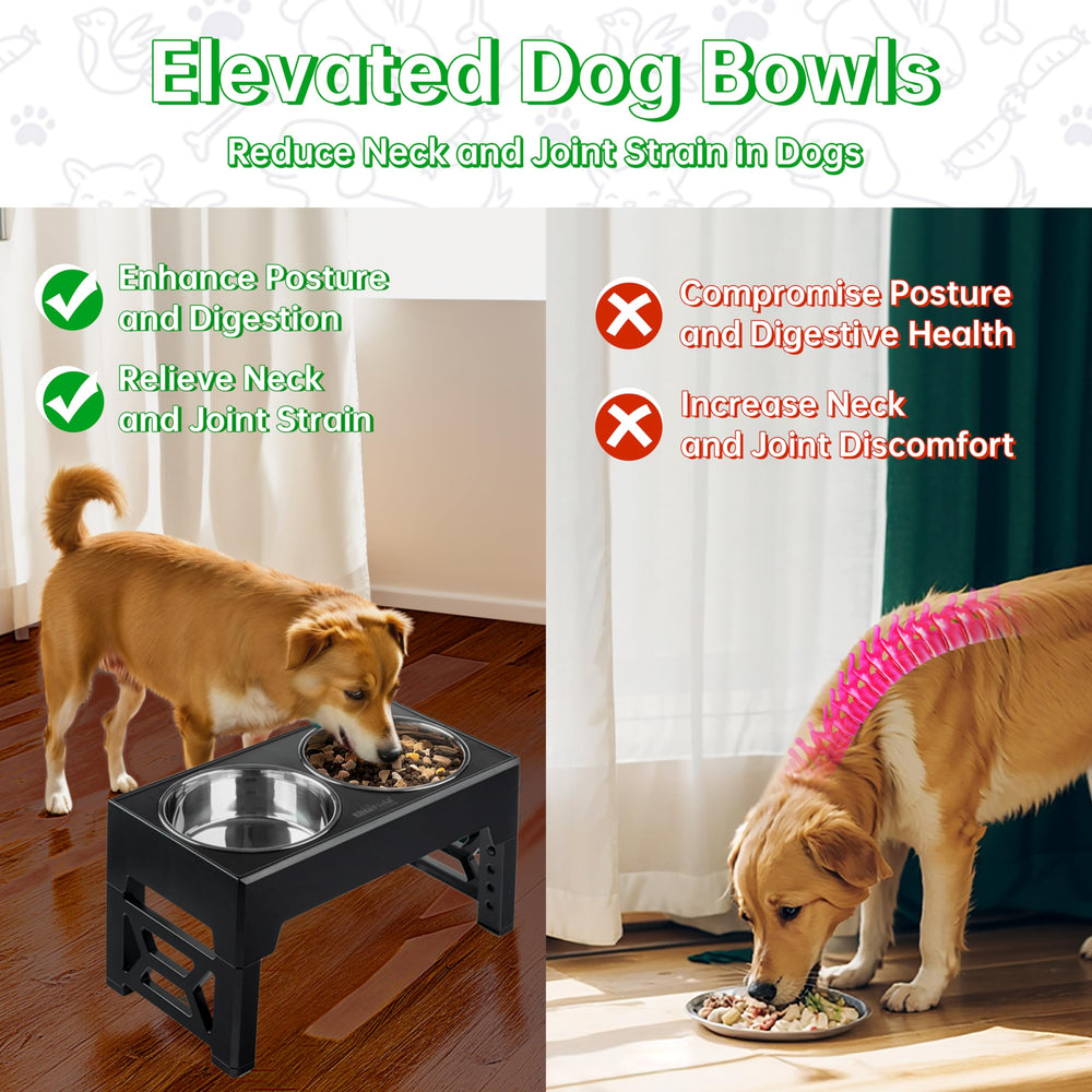 EliteField elevated dog bowls showing anti-slip pads keep meals quiet and stable