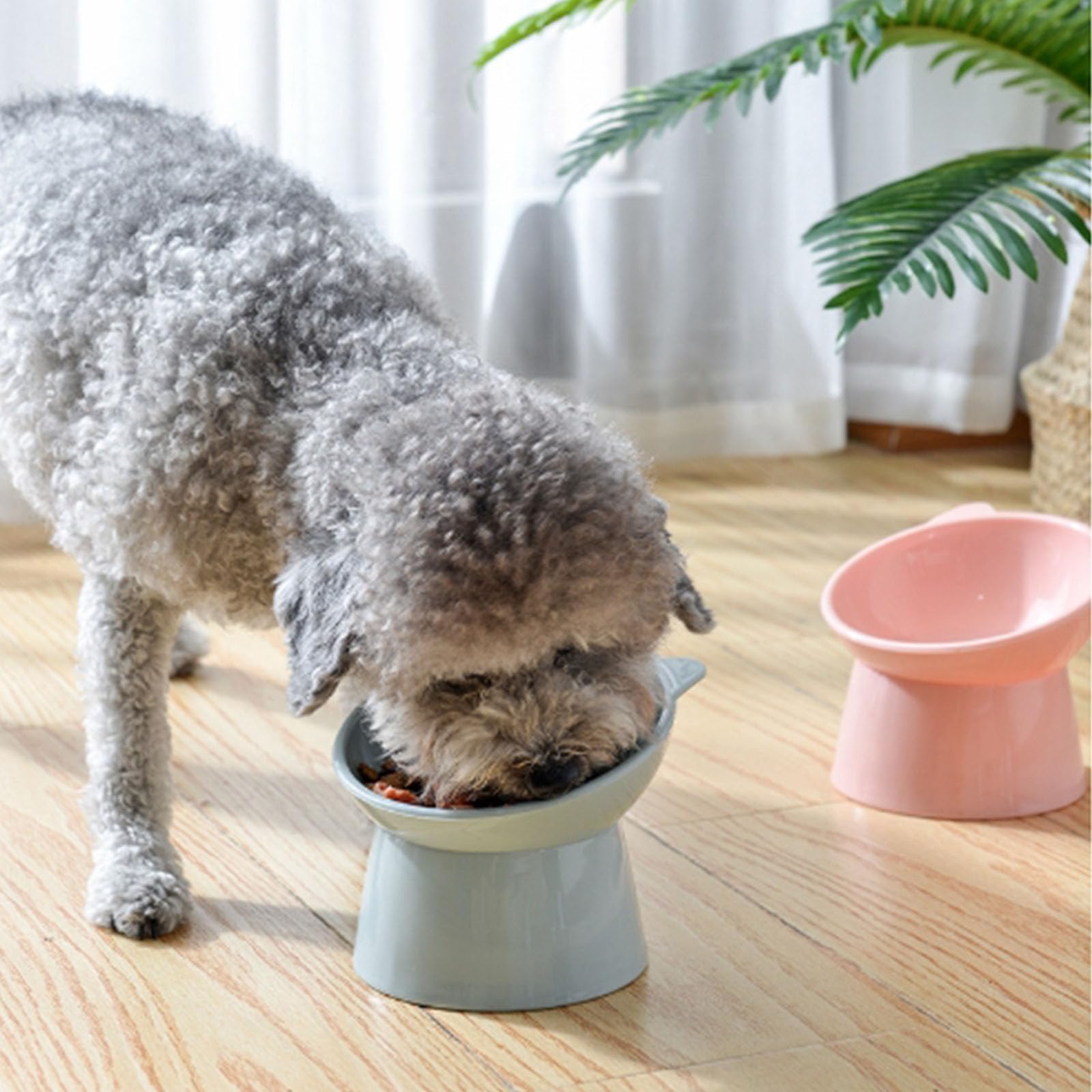 QPOIBSD Tilted Raised Posture for Cat Food Bowl Neck for Protection Anti Vomiting 45 Degree Elevated Slanted Stand Bowls for Cat Tilted Bowl Diameter Approx.13.7cm/5.39in (Baby Blue)