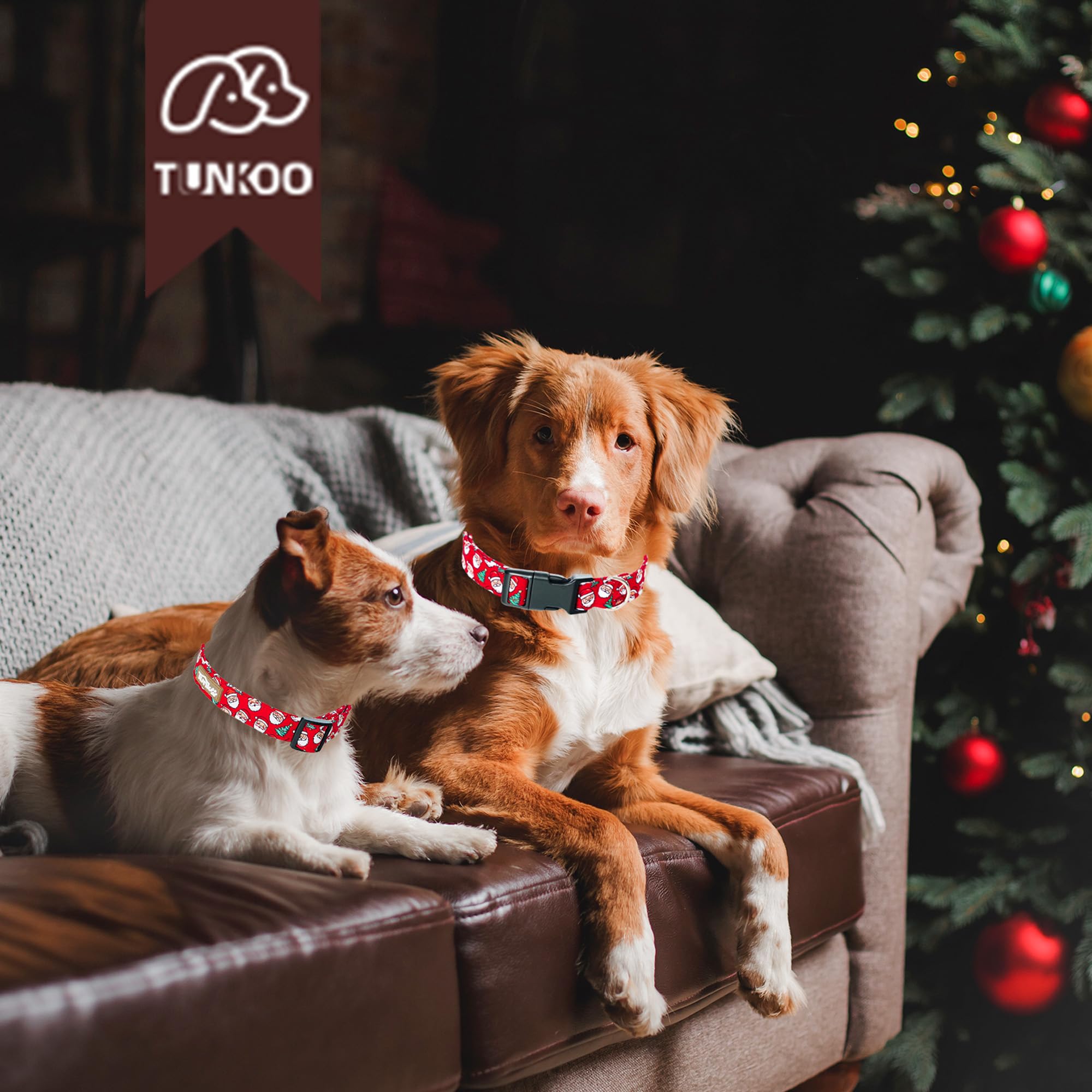 Tunkoo Christmas Dog Collar Santa Claus Cute Adjustable Plaid Collar for Boy and Girl Dogs, Dog Collar with Strong Plastic Buckle - for Small Medium Large Pets, S