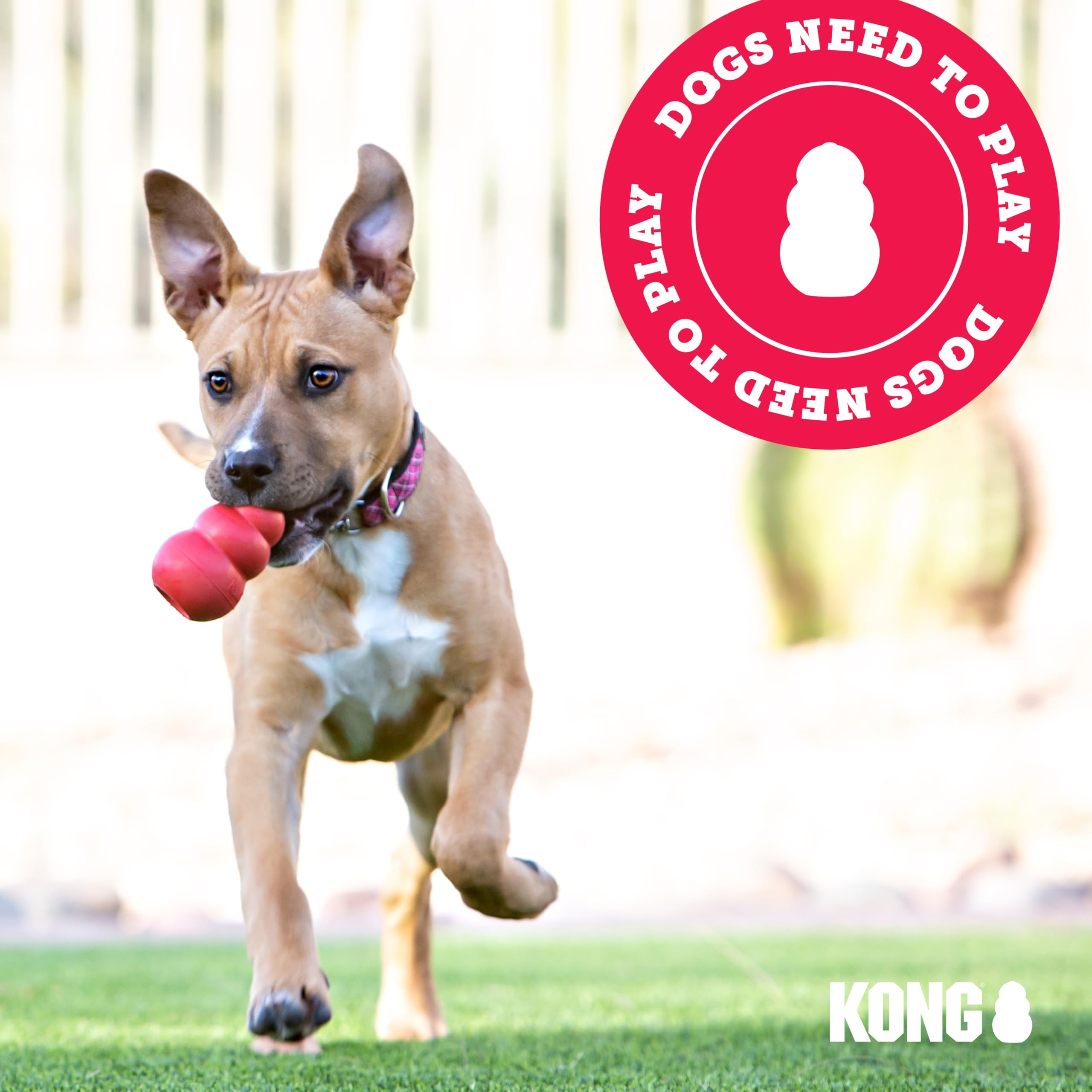 KONG Maxx Bone Sm/Md — Ultra-Durable Indoor/Outdoor Fetch Toy