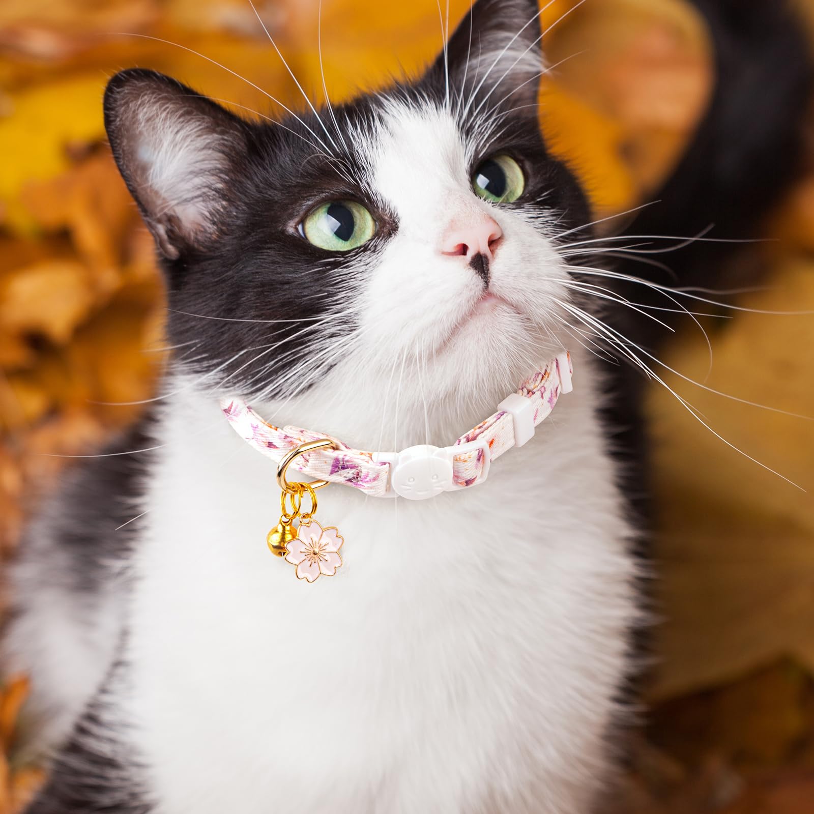 FYEQYAOU 2-Pack Cotton Breakaway Cat Collar – White & Blue Floral with Bell