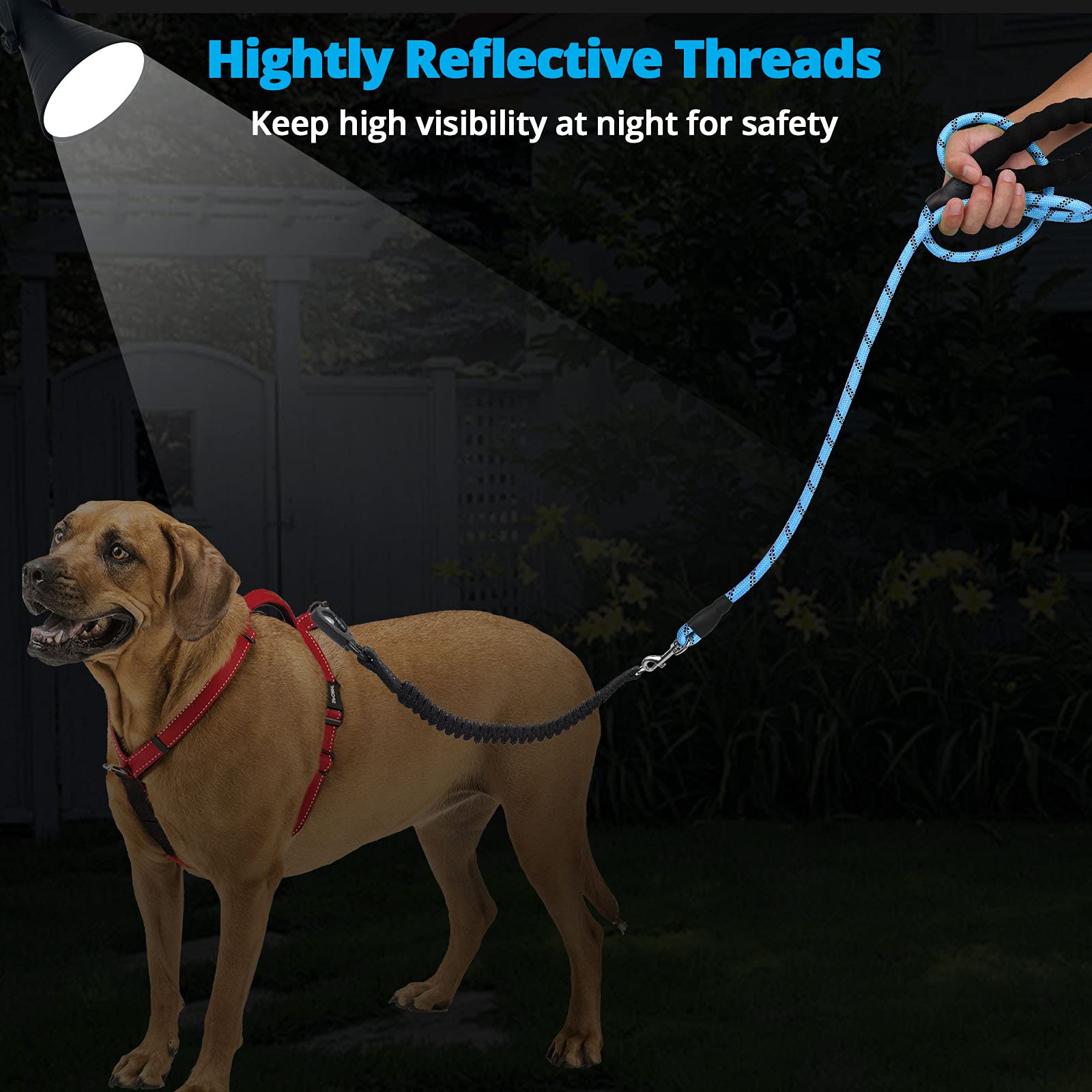Long Dog Leash 10 FT: Heavy Duty Rope Leashes for Dogs Training with Swivel Lockable Hook Reflective Threads Bungee and Padded Handle - Dog Lead for Large Small Medium Dogs Outside Walking Hiking Blue