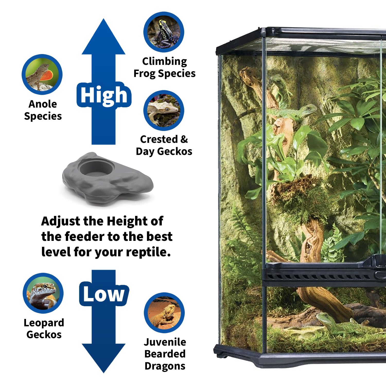 Pangea Silicone Gecko Feeding Ledge - Magnetic Mini Food Dish for Reptile Tank - 4.125" x 2.625" x 1.18" - Fits 0.5oz Cups (Gray)