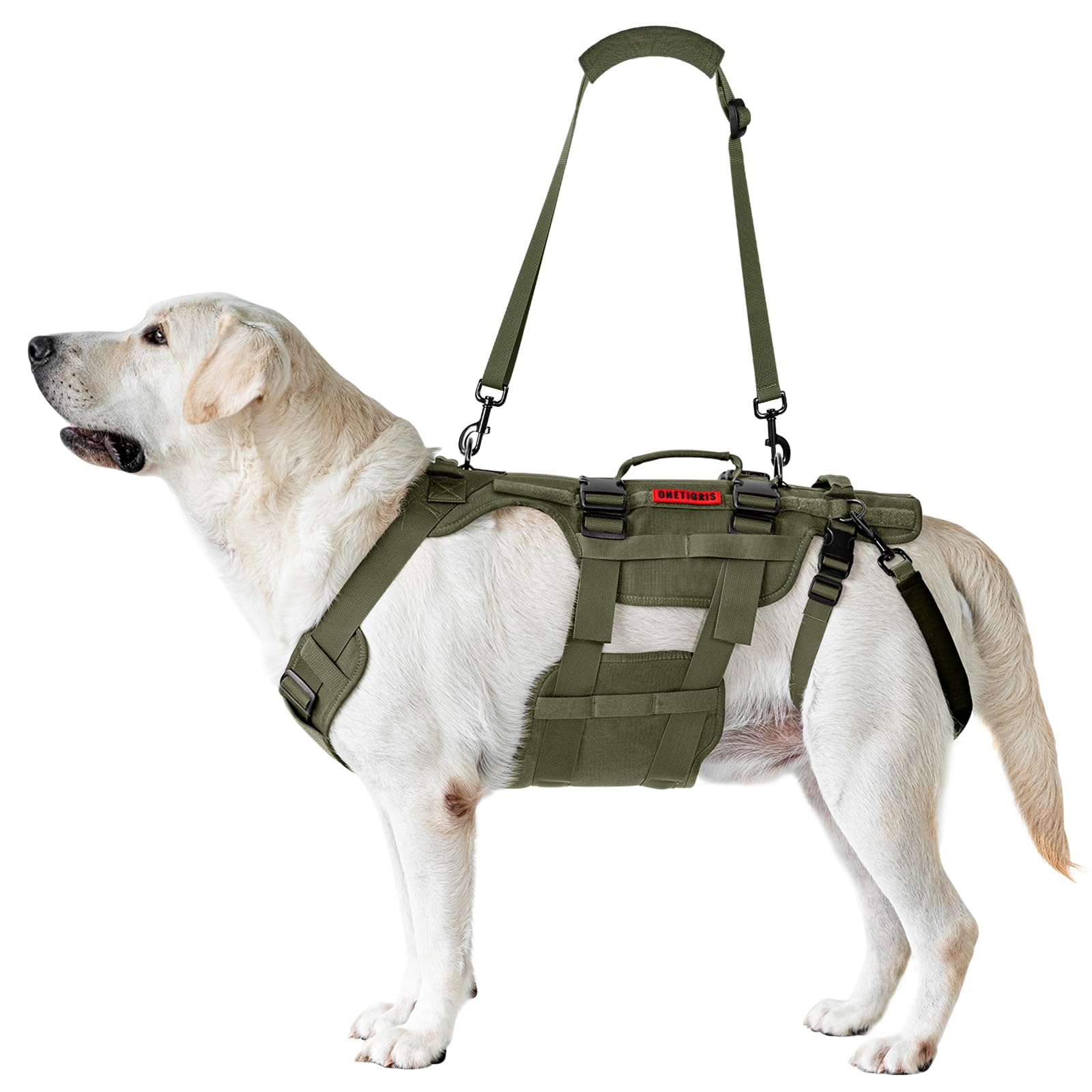 OneTigris dog lift harness in use illustrates stairs assistance