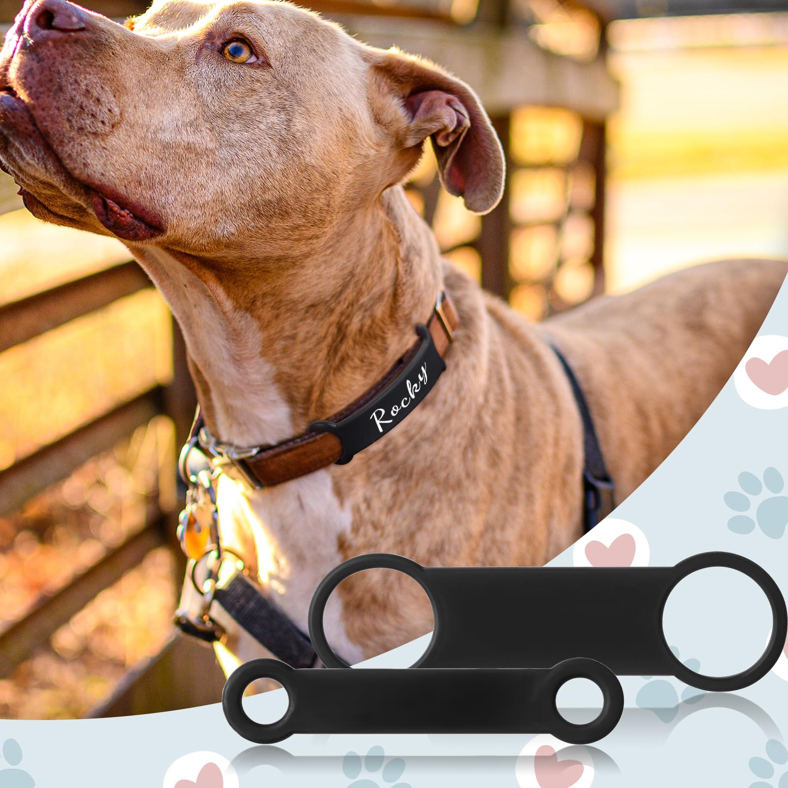 Styquenzer dog tag rubber band 4-pack makes collar updates simple