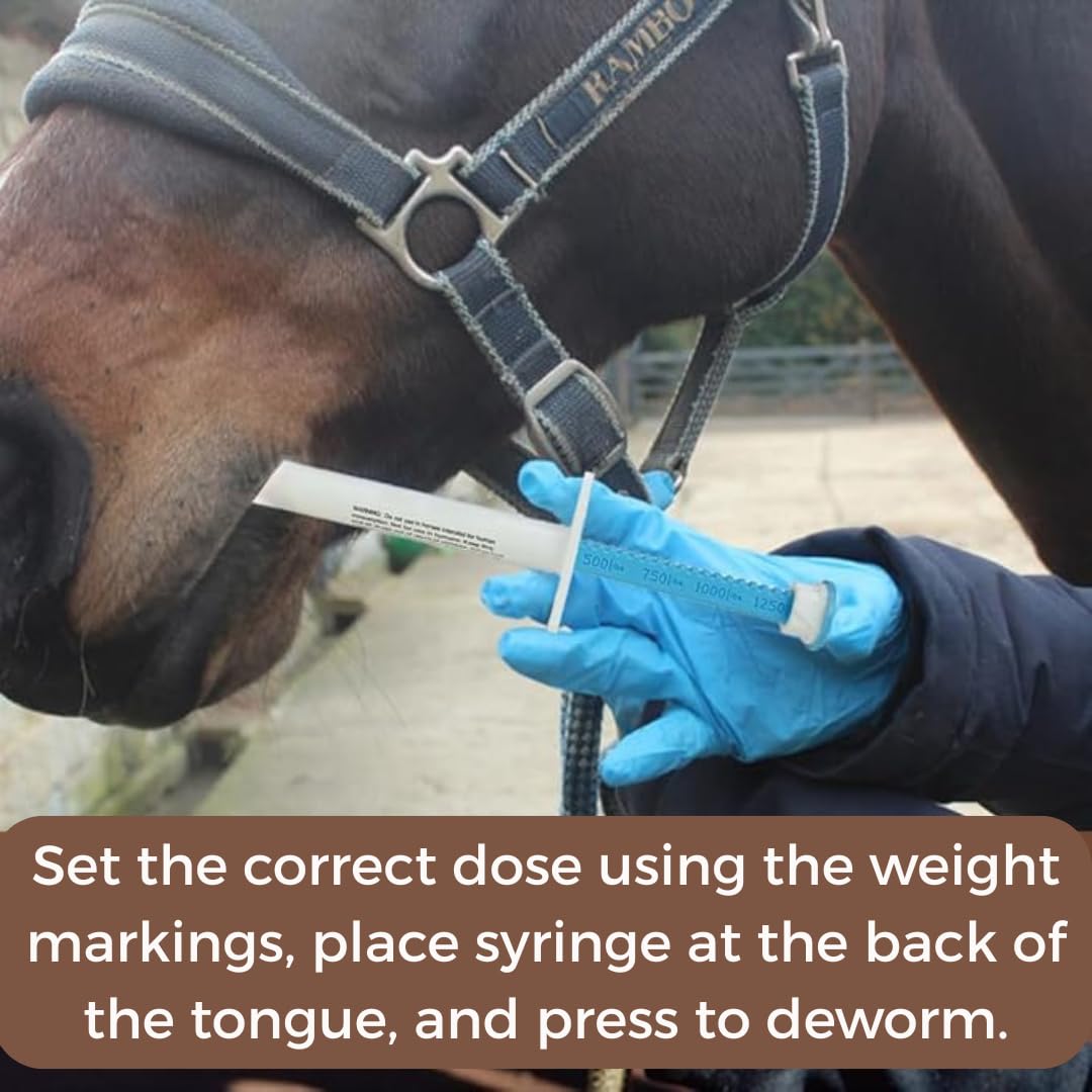 Horse Paste 1.87% Apple-Flavored Syringe – 6.18g Tube (Pack of 3) for Horses up to 1,250 lbs by WQR