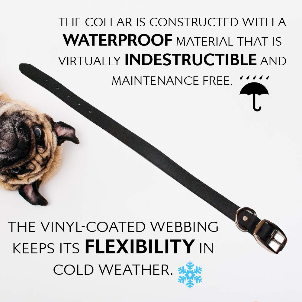 Regal Dog Products Medium Black Waterproof Collar & Leash Set — Heavy-Duty, Adjustable Biothane, 5' Leash