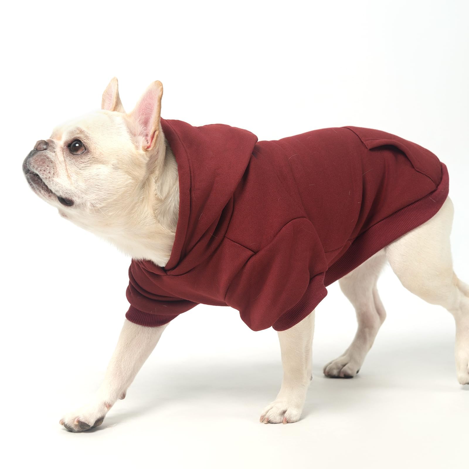 KOOLTAIL Basic Dog Hoodie - Soft and Warm Dog Hoodie Sweater with Leash Hole and Pocket, Pet Winter Coat, Cold Weather Clothes Sweatshirt for Small Medium Large Dogs Puppy Cat Boys Girls, Deep Red L