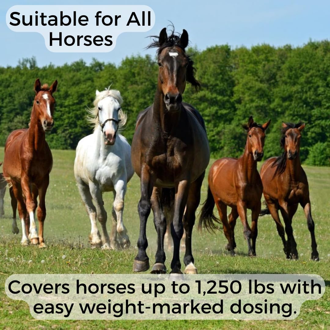Horse Paste 1.87% Apple-Flavored Syringe – 6.18g Tube (Pack of 3) for Horses up to 1,250 lbs by WQR