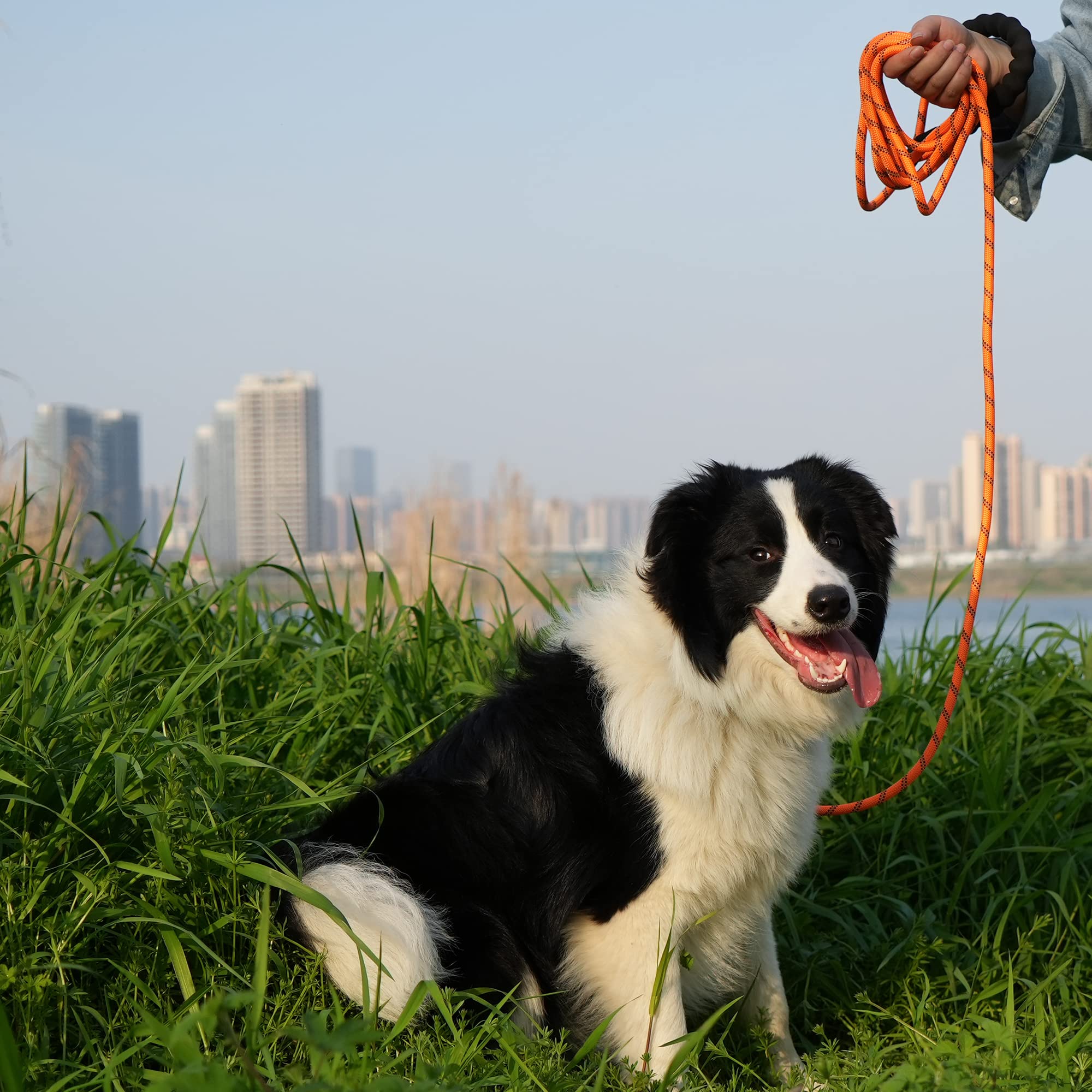 NTR Heavy Duty Dog Leash - 15FT Training with Lockable Bone Hook, Padded Handle & Reflective Threads - Orange