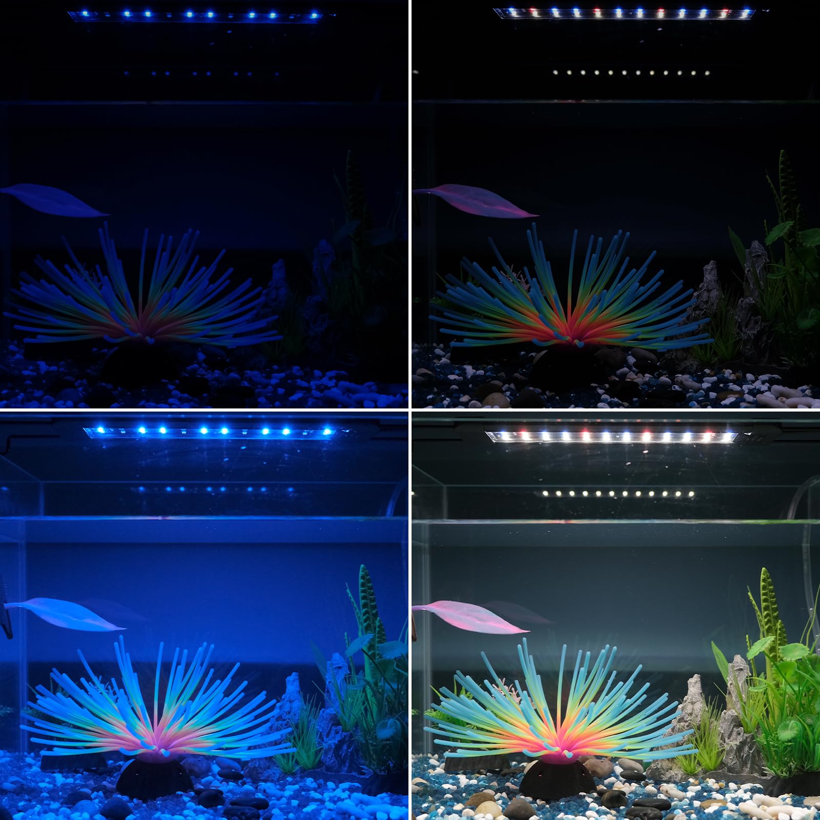 Pawfly 11W Aquarium Light for 12-18 Inch Tanks | Full Spectrum LED with Day/Night Modes