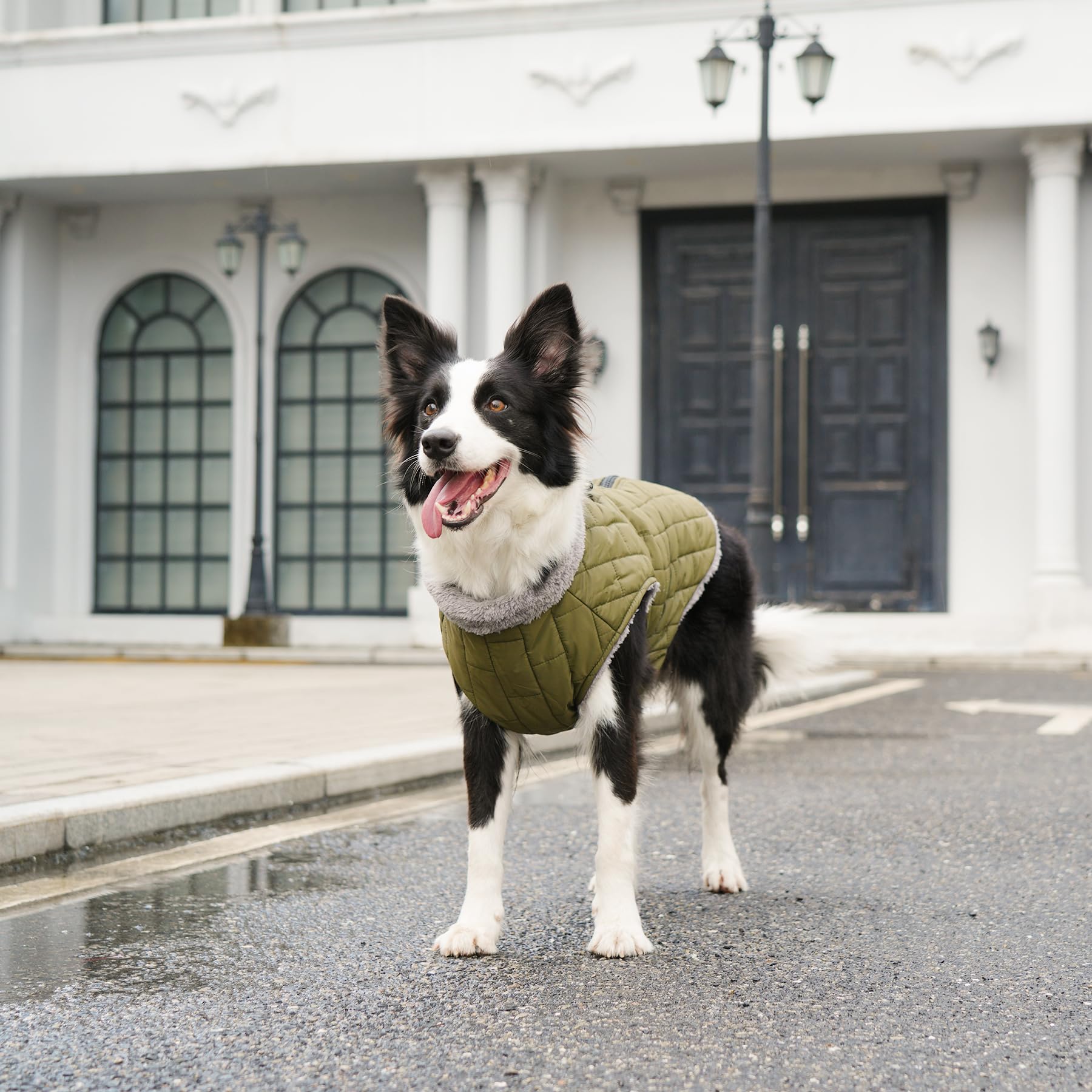 JoyDaog Warm Fleece Dog Coats with Durable Harness Buitl in D-Ring,Waterproof Doggie Jacket for Medium Dogs,Dog Vest for Cold Winter,Green L