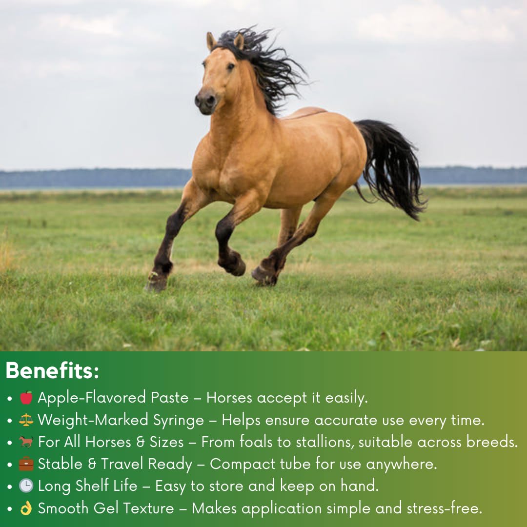 Horse Paste 1.87% Apple-Flavored Syringe – 6.18g Tube (Pack of 3) for Horses up to 1,250 lbs by WQR