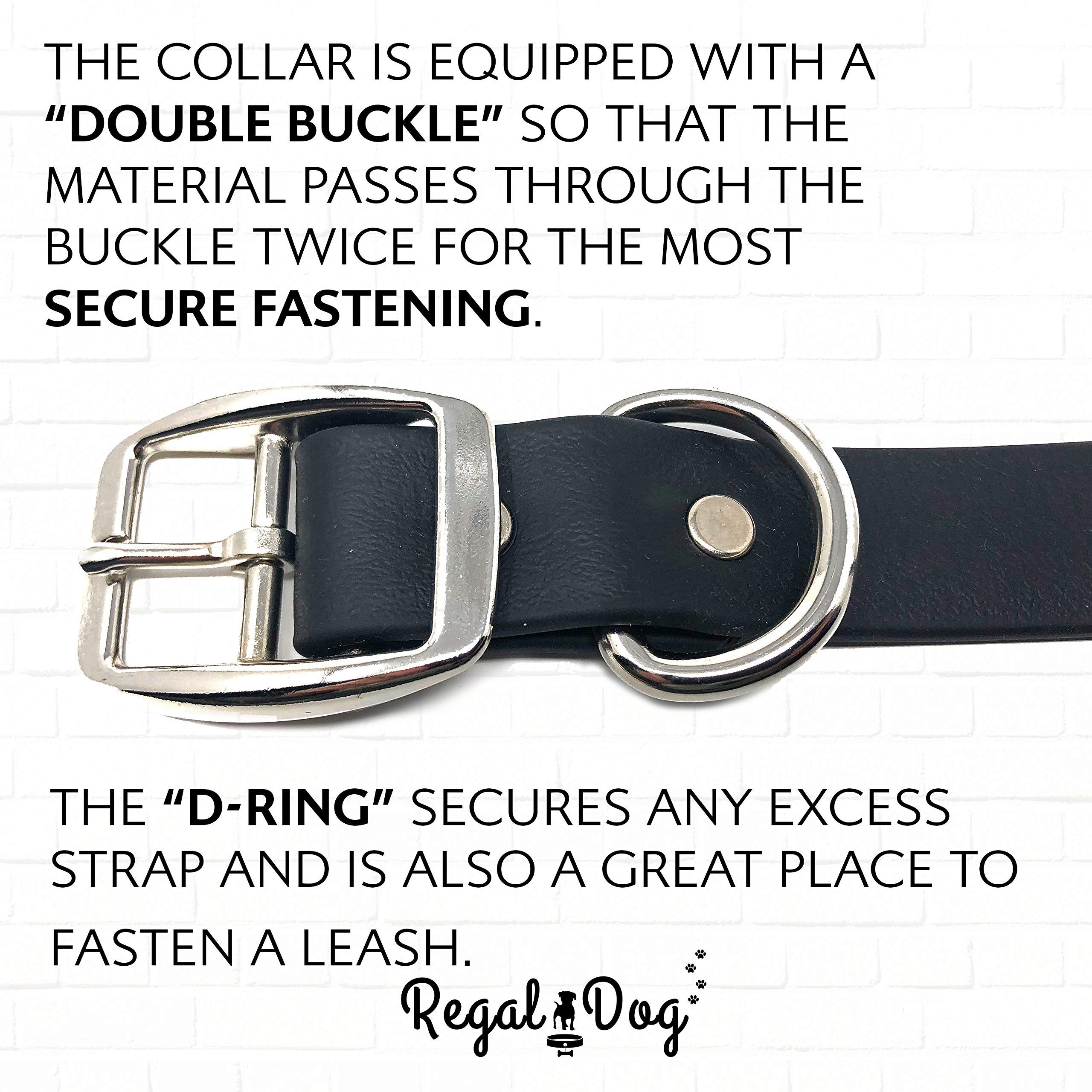 Regal Dog Products Medium Black Waterproof Collar & Leash Set — Heavy-Duty, Adjustable Biothane, 5' Leash