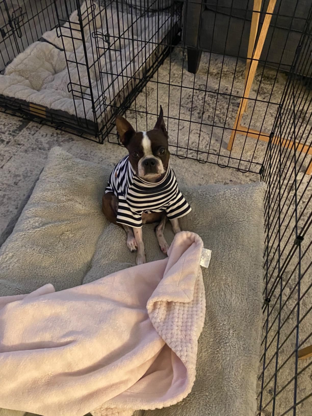 IMDOUBLEDOU turtleneck dog shirt chest measurement guide - size chart.