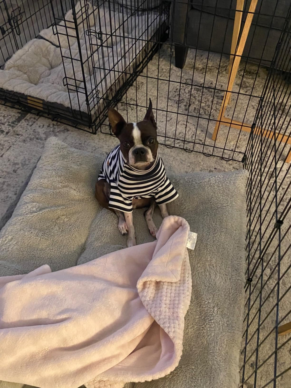 IMDOUBLEDOU turtleneck dog shirt chest measurement guide - size chart.