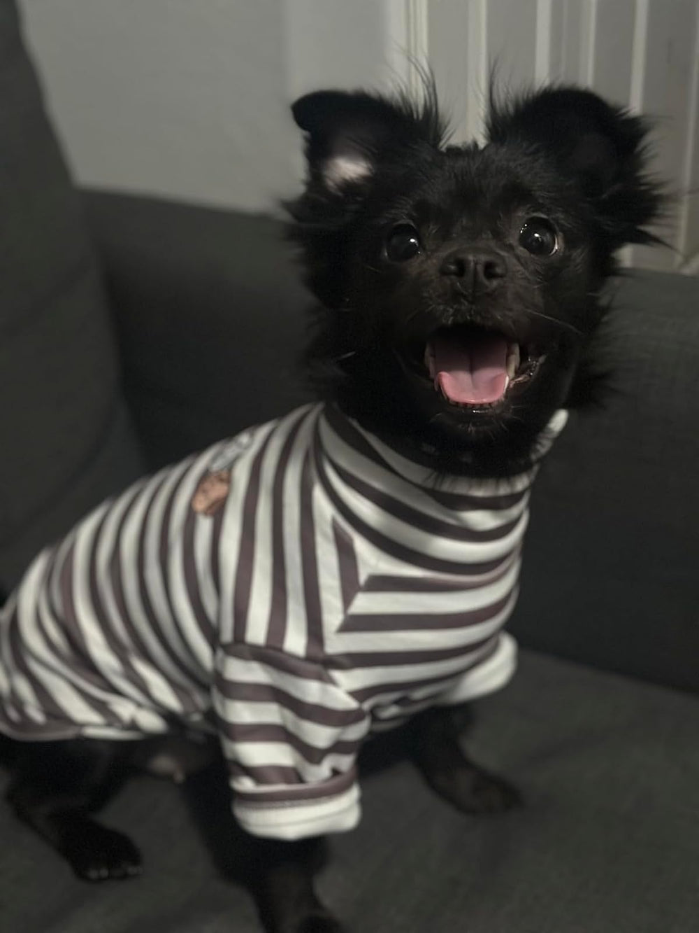 IMDOUBLEDOU turtleneck dog shirt model dog - style-friendly pullover.
