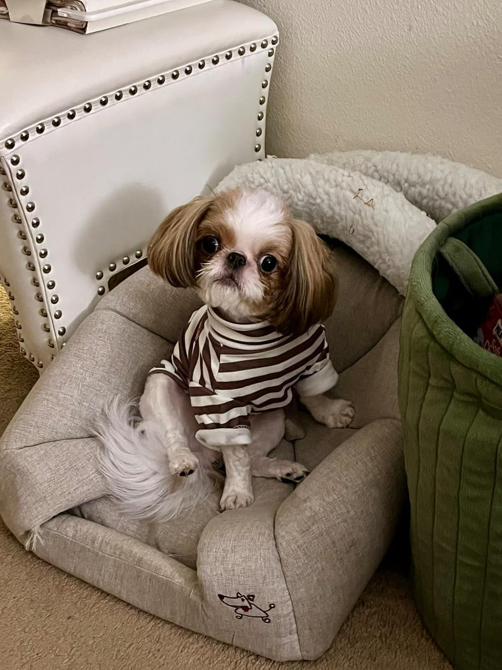 IMDOUBLEDOU turtleneck dog shirt packaging - ready to gift.