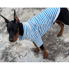 IMDOUBLEDOU blue striped sweater with soft lining suitable for autumn