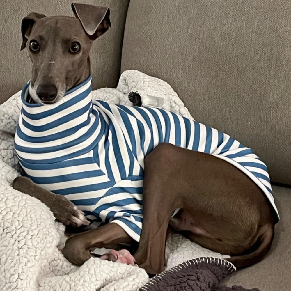 IMDOUBLEDOU embroidered blue striped dog shirt charming for photos