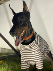 IMDOUBLEDOU turtleneck dog sweater back view showcases easy pull-on design