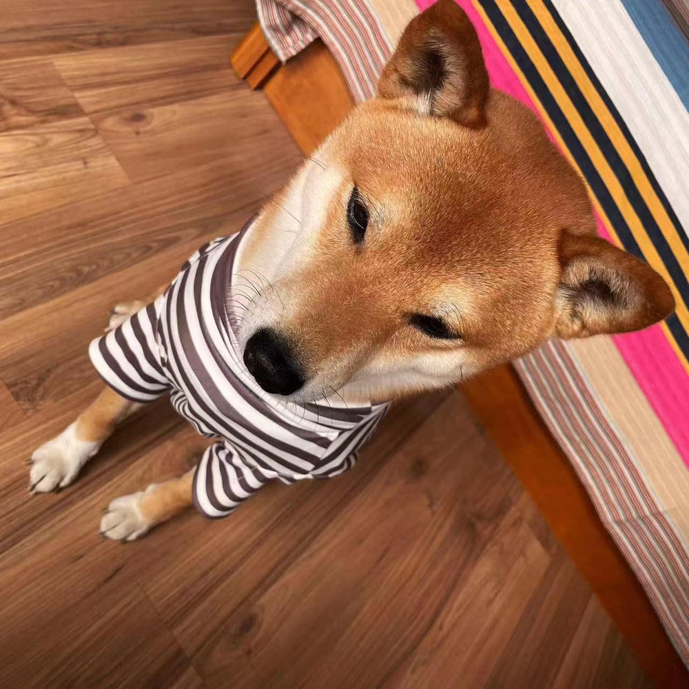 IMDOUBLEDOU turtleneck dog sweater pullover design simplifies dressing at home