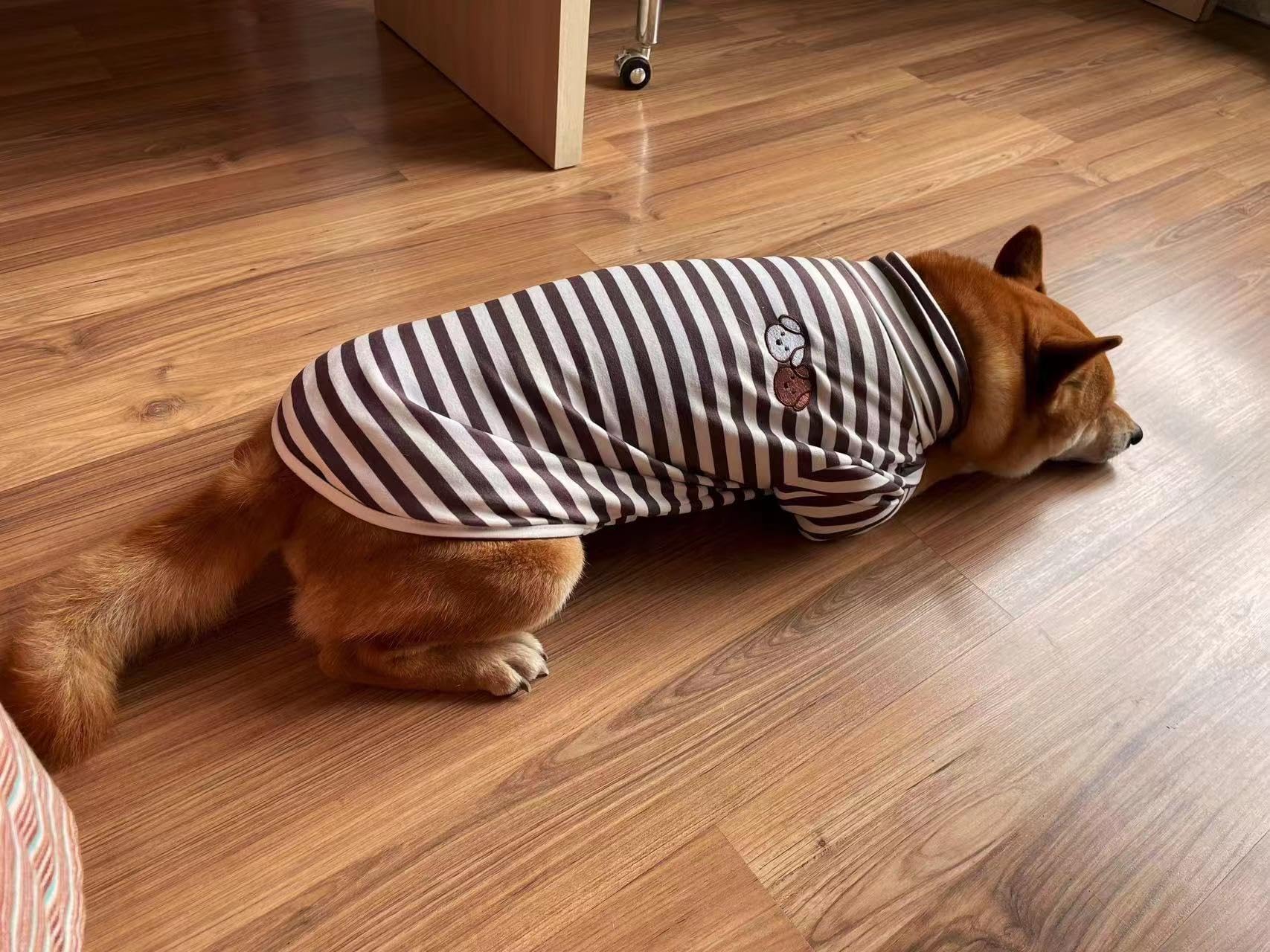 IMDOUBLEDOU turtleneck dog sweater striped pattern delivers timeless style for dogs