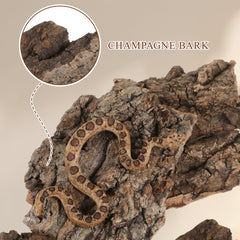 IMIKEYA reptile hide cork bark 4 offers safe shelter and basking perch.