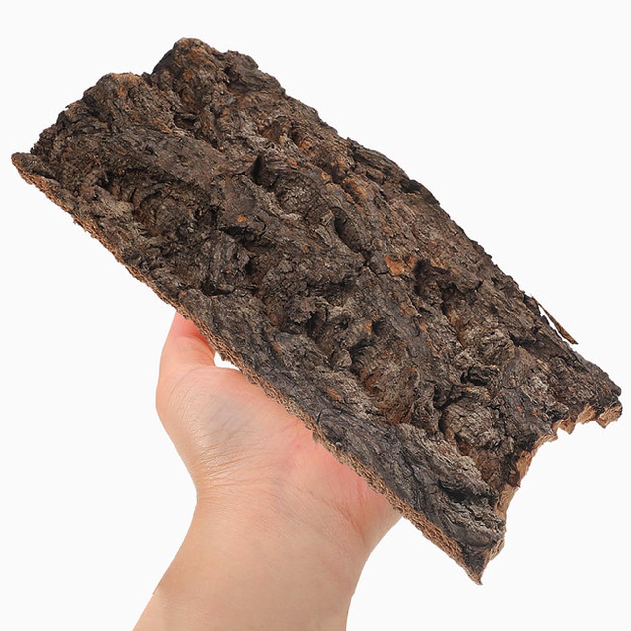 IMIKEYA natural cork bark 8 blends with terrarium landscape and climbing routes.