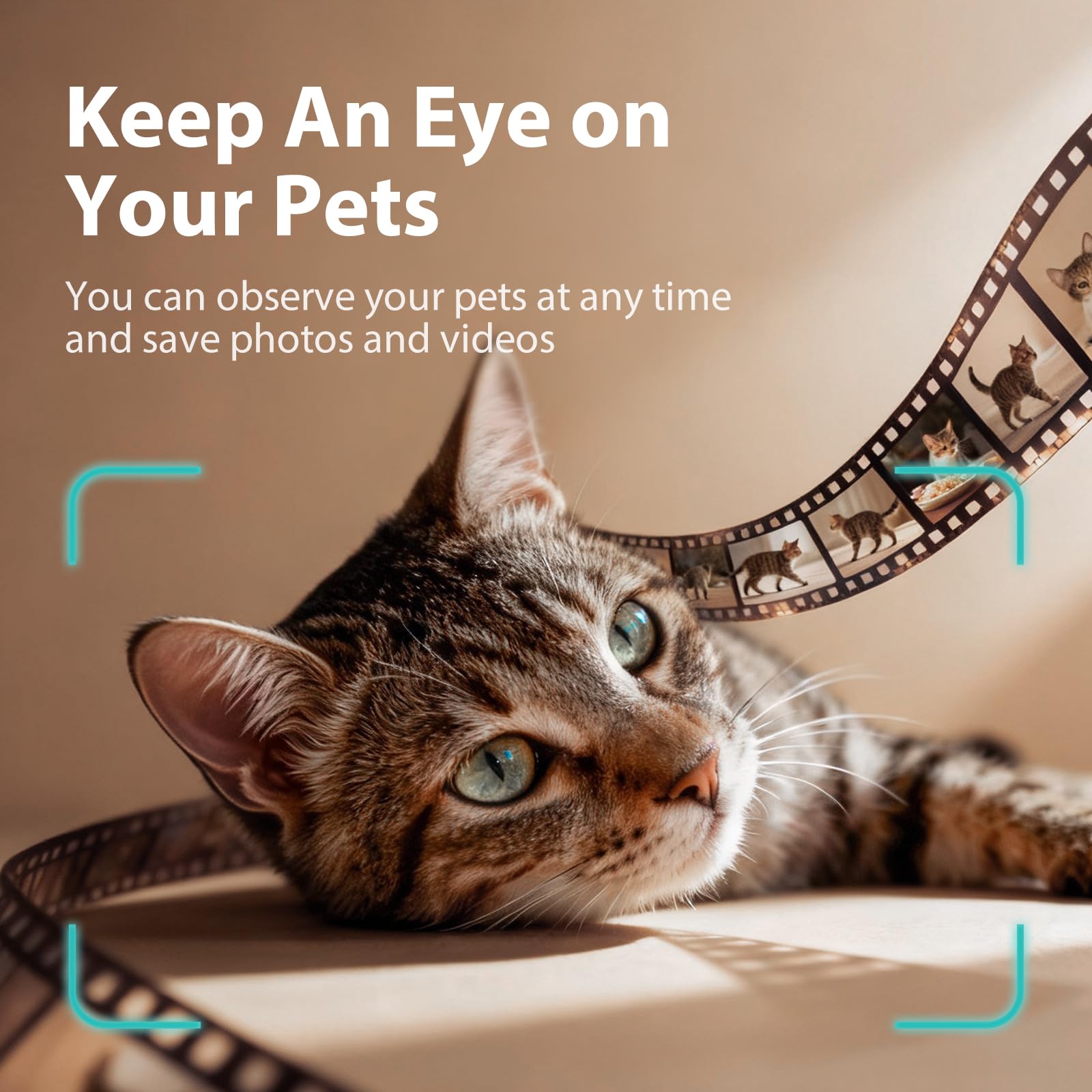 IMIPAW feeder at night uses night vision for around-the-clock visibility.