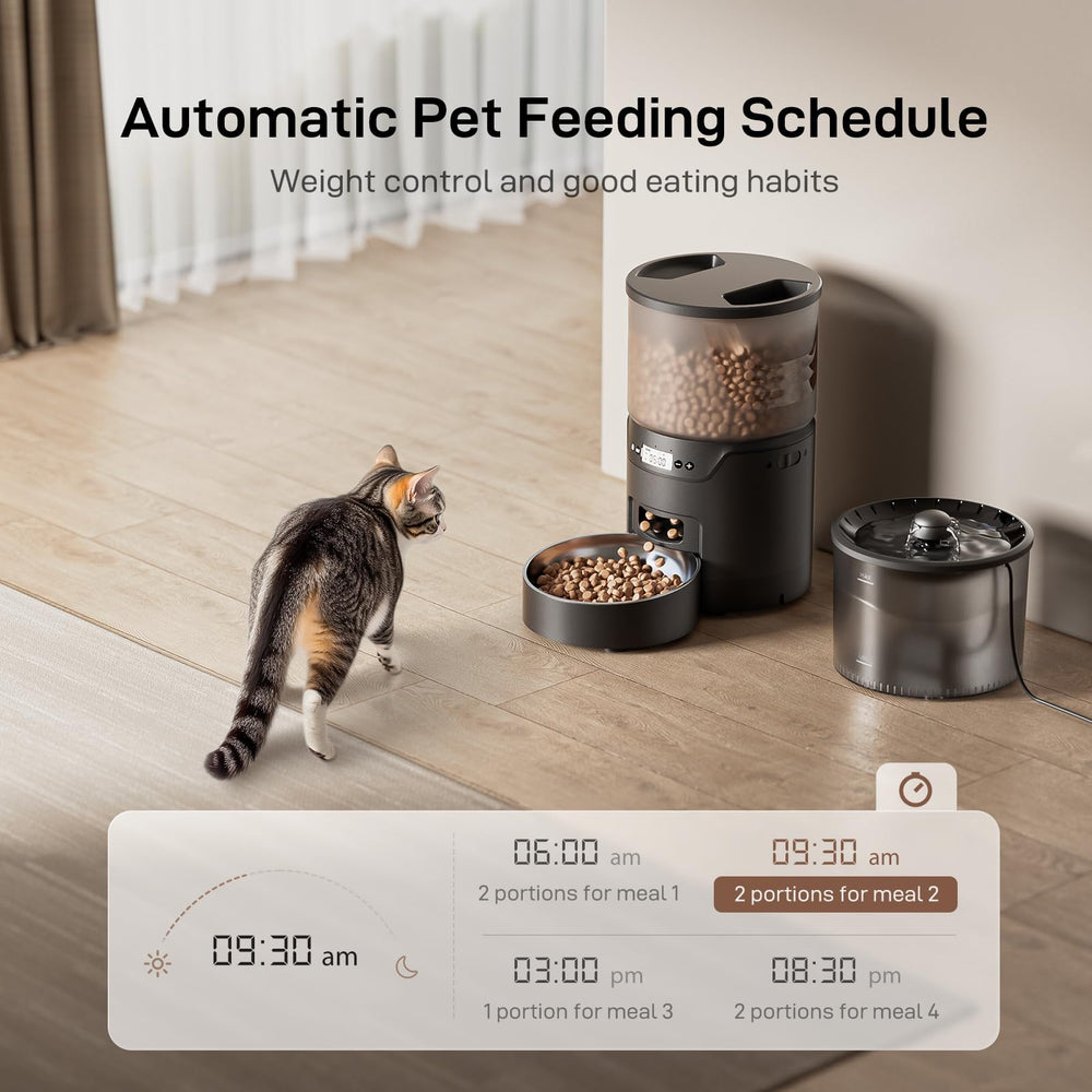 IMIPAW cat water fountain with flow modes encourages healthy hydration.