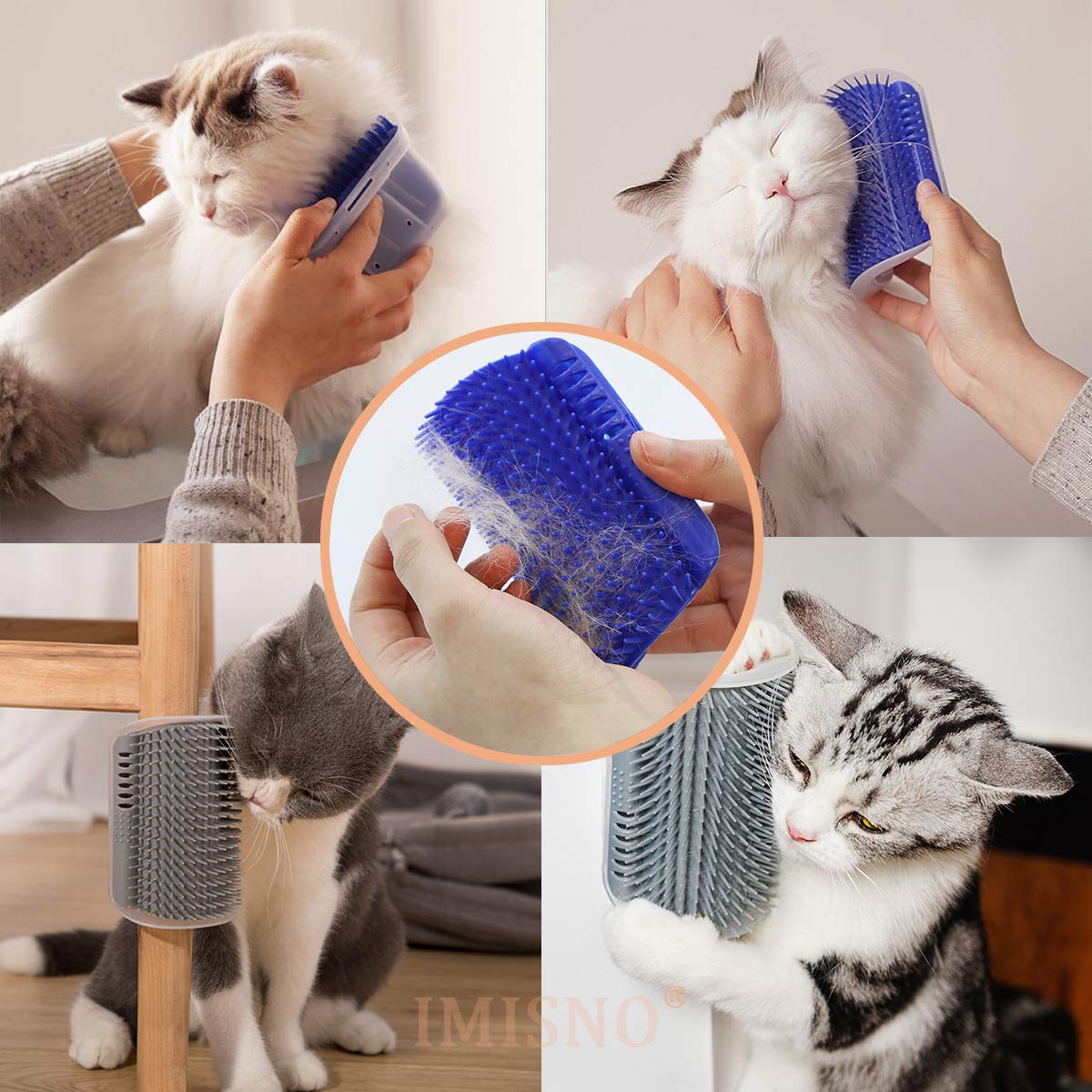 IMISNO owner grooming session with pet highlights bonding and enrichment