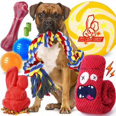 IMMADBUNY Mad Bunny bunny-treat-toy engages dogs during slow-chew sessions.