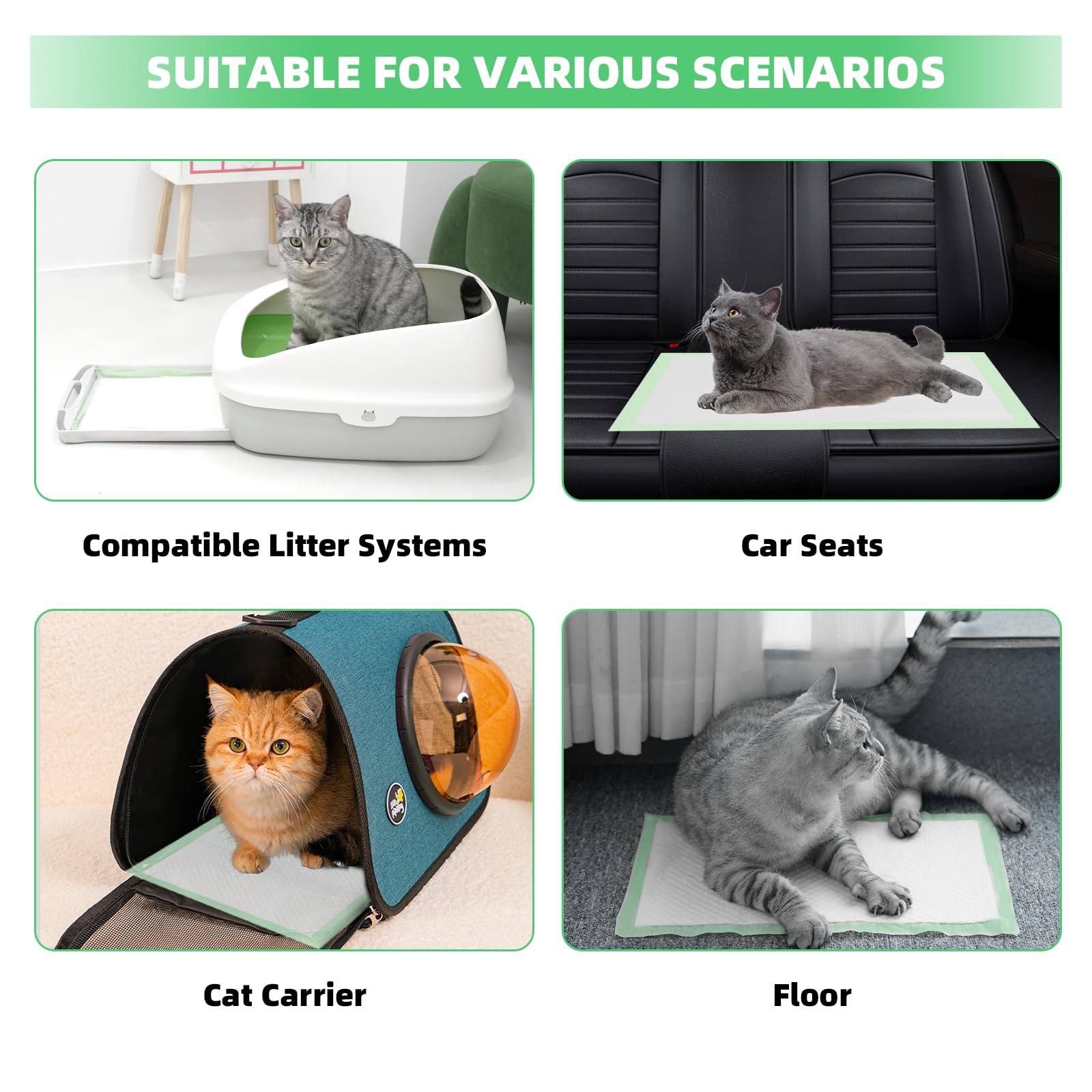IMMCUTE disposable-refills image emphasizes easy disposal and economical option