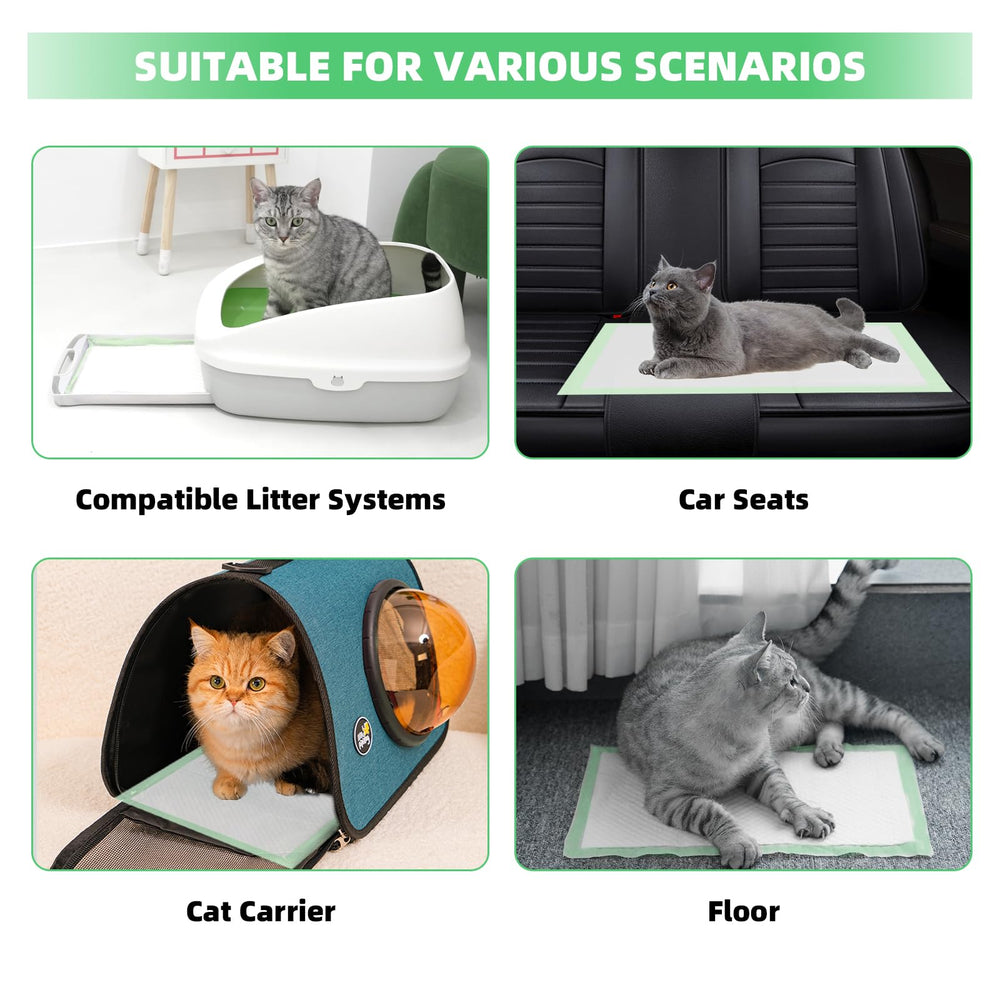IMMCUTE disposable-refills image emphasizes easy disposal and economical option