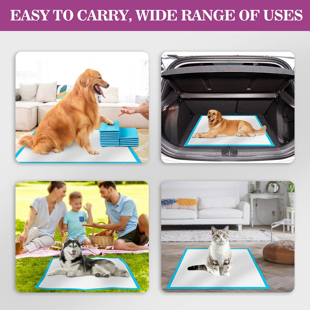 IMMCUTE disposable training pad facilitates quick cleanup after accidents.